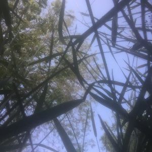 Meet your Posher, Avaneet